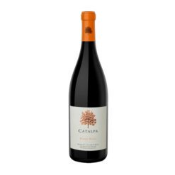 Vino Catalpa Pinot Noir